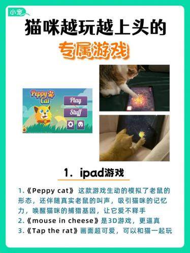 给猫玩的游戏有哪些-给猫玩的游戏有哪些名字-第6张图片 给猫玩的游戏有哪些-给猫玩的游戏有哪些名字-第6张图片