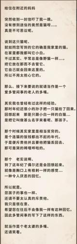 杂货店游戏大全-第8张图片 杂货店游戏大全-第8张图片