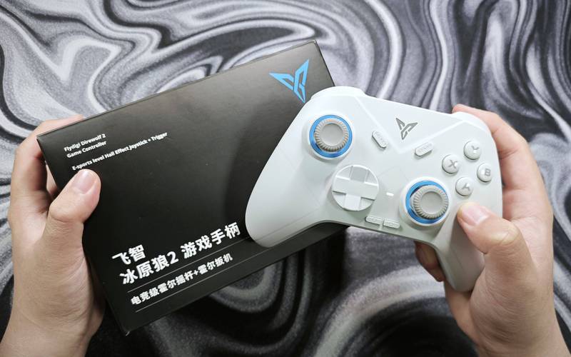 什么游戏用手柄好玩-哪些游戏适合用手柄玩-第6张图片 什么游戏用手柄好玩-哪些游戏适合用手柄玩-第6张图片