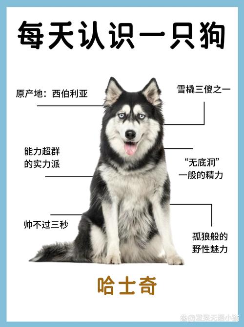 我玩的游戏怎么变成了高/我玩的游戏怎么变成了高txt-第4张图片 我玩的游戏怎么变成了高/我玩的游戏怎么变成了高txt-第4张图片