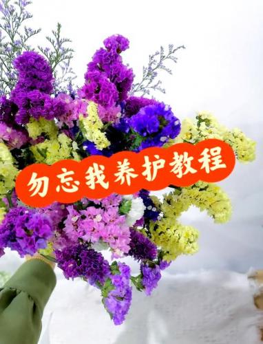 勿忘我游戏攻略-勿忘我游戏攻略大全-第5张图片 勿忘我游戏攻略-勿忘我游戏攻略大全-第5张图片