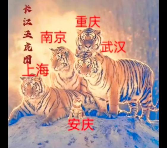 动物兄弟的游戏有哪些-第6张图片 动物兄弟的游戏有哪些-第6张图片