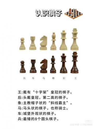 棋盘游戏有哪些类,棋盘游戏的好处和坏处-第6张图片 棋盘游戏有哪些类,棋盘游戏的好处和坏处-第6张图片