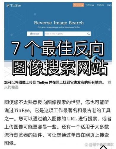 黑雪姬是哪个动漫人物-第5张图片 黑雪姬是哪个动漫人物-第5张图片