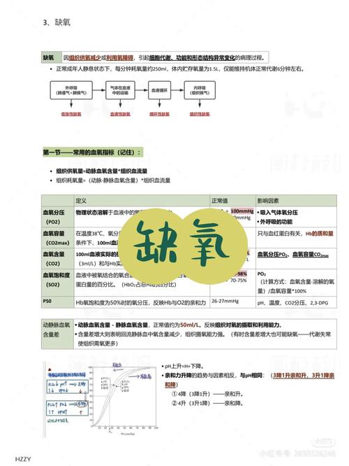 游戏缺氧氧气怎么解决/游戏缺氧怎么吃药-第4张图片 游戏缺氧氧气怎么解决/游戏缺氧怎么吃药-第4张图片