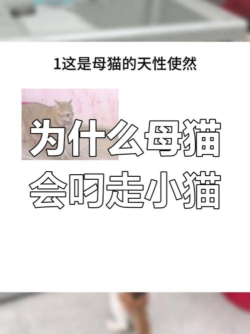 捉迷藏是什么游戏名称,捉迷藏这个游戏的玩法-第7张图片 捉迷藏是什么游戏名称,捉迷藏这个游戏的玩法-第7张图片