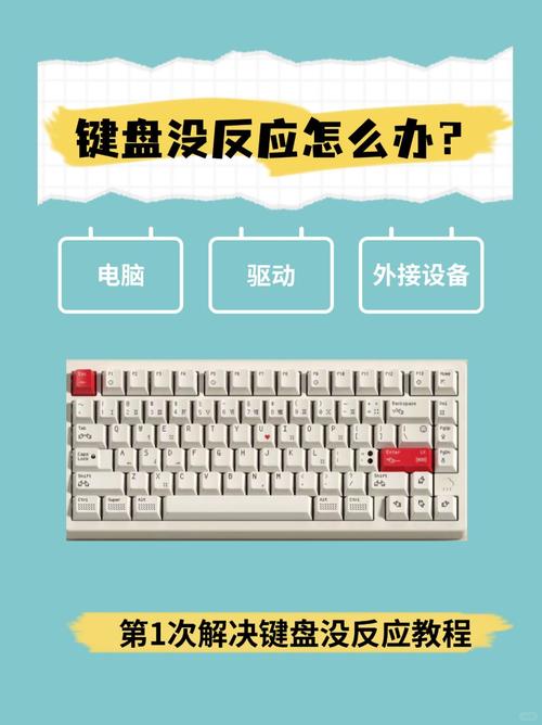 游戏键盘按键不灵敏怎么修复-游戏键盘按键没反应-第1张图片 游戏键盘按键不灵敏怎么修复-游戏键盘按键没反应-第1张图片
